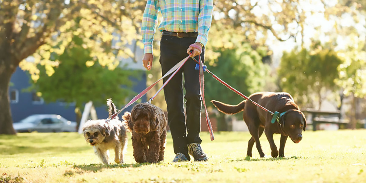 If the woofers are ready for a walk