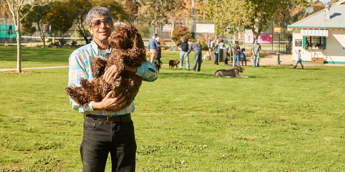 Don't let your dogs walk themselves