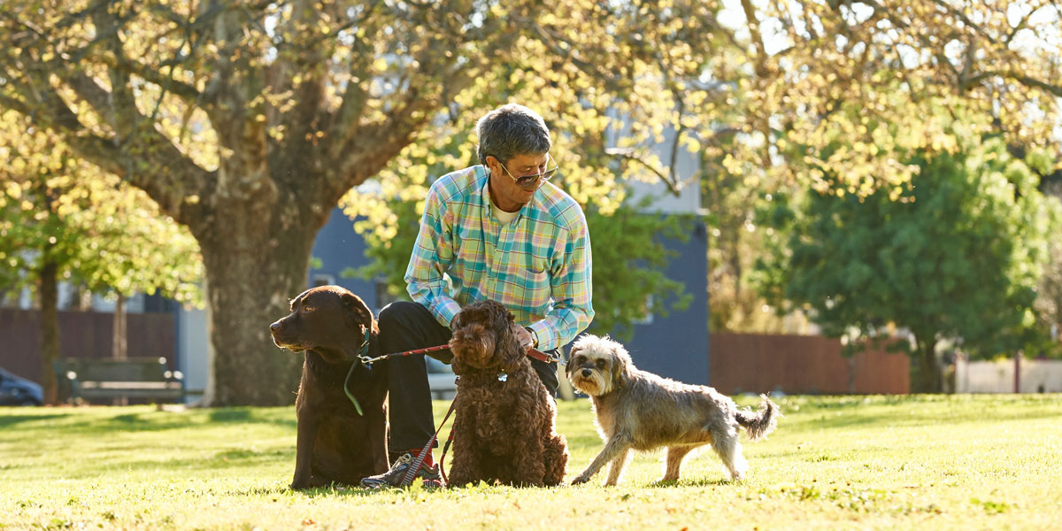 All about Walkin' The Dogs
